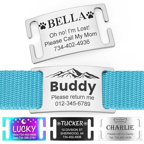 Dog Tags Personalized for Pets - No Noise Slide On Stainless Steel Pet ID Tag for Dogs Cats Collar- Engraved Name Plate with Laser - Optional Icon Art Design (Silver) - color: Silver