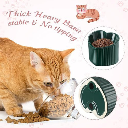 Mumufy 2 Pcs Ceramic Elevated Cat Bowls Tilted Elevated Raised Pet Bowls Anti Vomit Cat Dish for Indoor Stress Free Water Dish Feeder for Puppies, Heart Shaped(Pink, Peacock Green) - color: Pink, Peacock Green