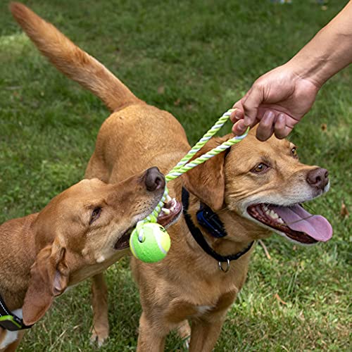 2 Piece Dog Training Ball on Rope, Cotton Rope Ball, Tug Ball Toy, Tough Rope Toy, Non-Toxic and Durable Dog Toys for Big and Small Dogs…