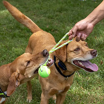 2 Piece Dog Training Ball on Rope, Cotton Rope Ball, Tug Ball Toy, Tough Rope Toy, Non-Toxic and Durable Dog Toys for Big and Small Dogs…
