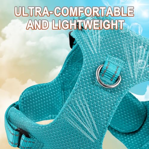 Dog Harness Step in Dog Vest Harness, Reflective Adjustable Puppy No Pull Harness Breathable Soft for Small and Medium Dogs Cats, Ocean Blue, XS - color: Ocean Blue, size: X-Small