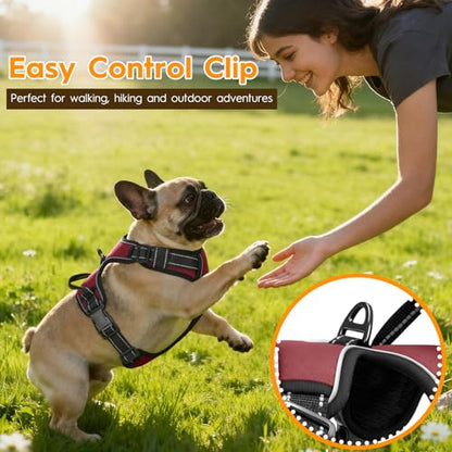 No Pull Dog Harness, No Chock Reflective Adjustable Soft Padded Pet Vest with Easy Control Handle, Easy Wearing with Stylish, Reinforced Knot, 2 Buckles - color: Neon Fuchsia, size: X-Small