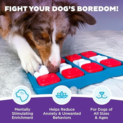 Outward Hound by Nina Ottosson Dog Brick – Interactive Treat Puzzle Enrichment Toy, Level 2 Intermediate - color: Dog Brick (Red, White, Blue)