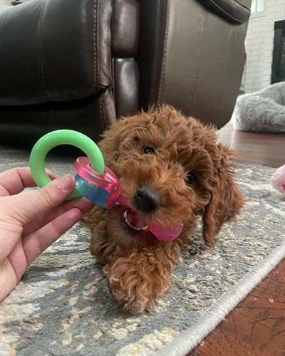 Nylabone Puppy Pacifier Chew Toy, Teething Toys for Puppies, Bacon Flavor, Small - Up to 25 lbs, 1 Count - color: Pacifier