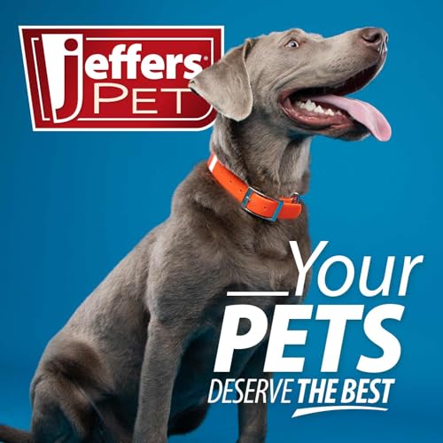 Jeffers Pet Nail Trimmer Large Hole Black – Guillotine Clippers for Dog, Cat, Puppy & Small Animal Grooming – Stainless Steel Blade, Non Slip Grip, Pet Grooming Tool for Home & Travel