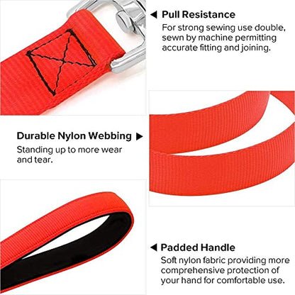 Colaseeme Light Up Dog Leash, LED Pet Leashes USB Rechargeable, Glow Safety Dogs Lights at Night (4FT,Red) - color: Red, size: 4FT