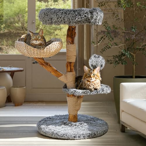 Sopapets Solid Wood Cat Tree for Large Cat, 41.3" Modern Cat Tower with Heavy Duty Real Branch & Hand-Woven Basket, Sisal Scratching Posts & Cozy Bed, Luxury Furniture for Indoor & Maine Coon, Gray - color: Gray