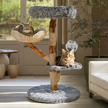 Sopapets Solid Wood Cat Tree for Large Cat, 41.3" Modern Cat Tower with Heavy Duty Real Branch & Hand-Woven Basket, Sisal Scratching Posts & Cozy Bed, Luxury Furniture for Indoor & Maine Coon, Gray - color: Gray
