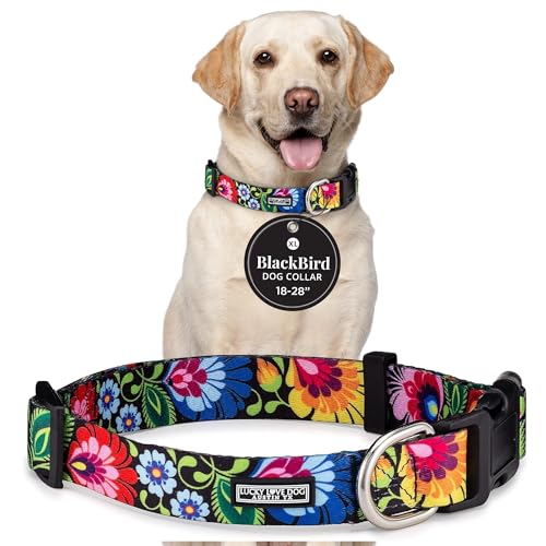 Lucky Love Dog - Adjustable Dog Collar with Easy Click Buckle for Large Ones, Durable, & Comfortable for Male & Female Dogs, Pet Collar for Puppies & Adult Dogs - Blackbird, Extra Large - color: Blackbird Collar Only, size: X-Large | 18-28"