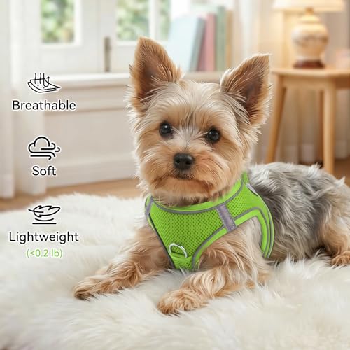 Joytale Small Dog Harness, Breathable Mesh Step-in Vest, Reflective Soft Padded Harnesses for Cats, Puppies and Extra Small Dogs, Green, XXS - color: Green, size: XXS--Chest: 12-13.5''
