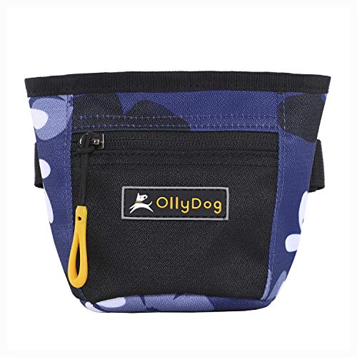OllyDog Goodie Treat Bag, Waist Belt Clip for Hands-Free Training, Lightweight Easy to Wear Pouch, Magnetic Opening, Comfortable for Everyday Use, Three Ways to Wear, Aloha Blue, One Size - color: XAloha Blue