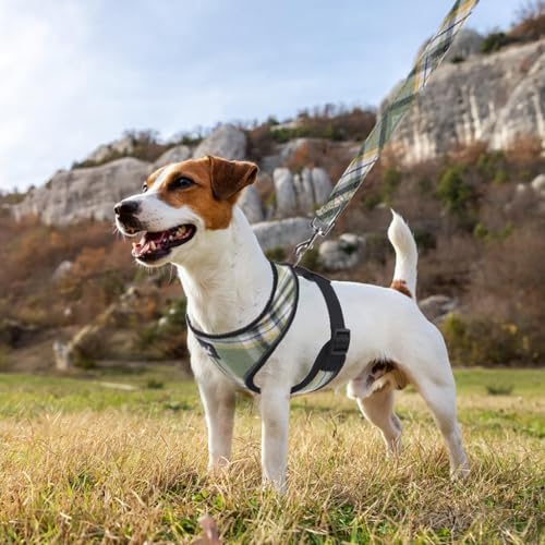 PUPTECK Soft Mesh Dog Harness and Leash Set Pet Puppy Cat Comfort Padded Vest No Pull Harnesses, Green/Yellow, XS - color: Green&Yellow, size: XS (NECK: 10", CHEST: 10"-14")