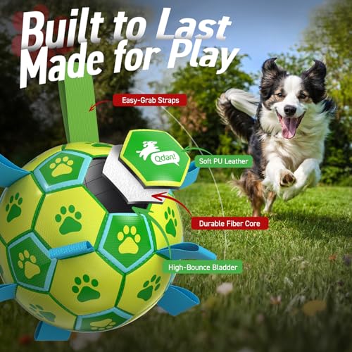 QDAN Dog Toys Soccer Ball, Dog Tug Toy, Water Toy, Durable Balls for Small Medium Dogs-Green Yellow(6 inch) - color: Yellow Green, size: 6 Inch