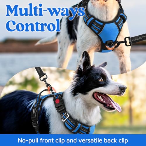 rabbitgoo Dog Harness Small Sized, No Pull Dog Vest with 3 Buckles, Adjustable Soft Padded Pet Harness with Easy Control Handle and Reflective Strips, Blue, S - color: Blue, size: Small