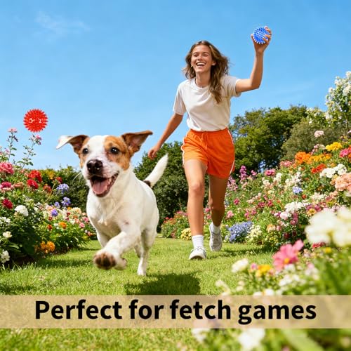 6 Pack Squeaky Spiky Dog Balls, Puppy Chew Toys for Teething, Food-Grade TPR Rubber Durable, Interactive Fetch Floating Dog Pool Ball Toy for Chewers for Small Medium (Small) - size: Small