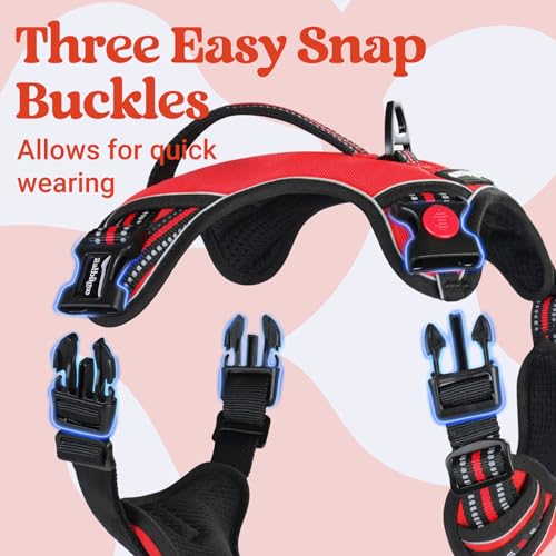 rabbitgoo Dog Harness Small Sized Dog, No Pull Pet Harness with Soft Padded Handle, Adjustable Reflective Vest with 3 Buckles, Easy Walking Harness with 2 Leash Clips, Red, S - color: Red, size: Small