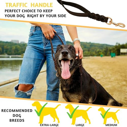 ADITYNA - Double Handle Leather Dog Leash 6ft - Heavy Duty Braided Dog Leash with Traffic Handle - Lead for Training and Walking Medium Large Breeds (Black, Two Handles 6 Foot x 3/4") - color: Black, size: Two Handles 6 foot x 3/4"