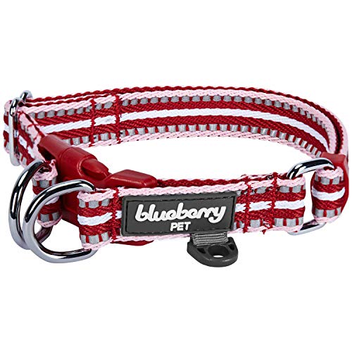 Blueberry Pet Safety Dog Collar with Dual D-Rings | 3M Reflective Multi-Colored Adjustable Collar in Marsala Red and Pink | Soft Nylon Dog Collar for Active Small Dogs