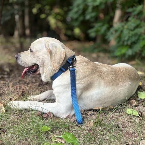 Premium Classic Sturdy Nylon Adjustable Dog Collars,Soft and Smooth Regular 1 Inch Wide Dog Collars with Quick Release Buckle for Large Dogs Walking&Training. (Large, Classic Blue) - color: Classic Blue, size: Large 16-24 Inches