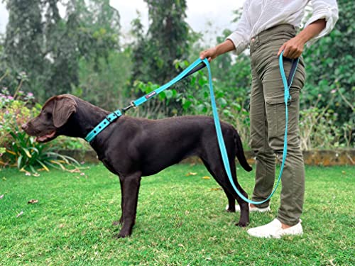 Tuff Pupper Heavy Duty Double Handle Leash | Twist Locking Carabiner Clip | Safety Lock for Strong Dogs | Reflective for Safe Night Walks | 6 Foot Leash | For Medium & Large Dogs - color: Teal
