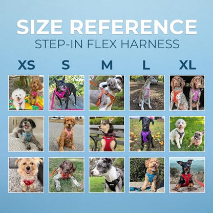 Best Pet Supplies Voyager Adjustable Step-in Flex Breathable Mesh Dog Harness for Small Medium Large Dogs (Army/Black Trim), XL - color: Harness (Army/Black Trim), size: XL