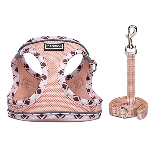 Mercano Soft Mesh Dog Harness and Leash Set, Step-in Reflective Breathable Lightweight Vest Harnesses with Safety Buckle for Small Dogs, Cats (Champagne, XXS) - color: Champagne, size: XXS (Chest: 9.5"-11.2")