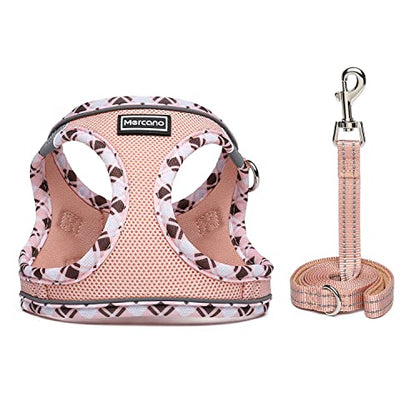 Mercano Soft Mesh Dog Harness and Leash Set, Step-in Reflective Breathable Lightweight Vest Harnesses with Safety Buckle for Small Dogs, Cats (Champagne, XS) - color: Champagne, size: XS (Chest: 11.2"-13.2")