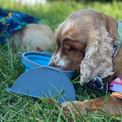 Loving Pets - Bella Roma Portable Travel Dog Bowl Collapsible Dog Food & Water Bowl (Blue, Large) - color: Blue, size: Large Travel Bowl