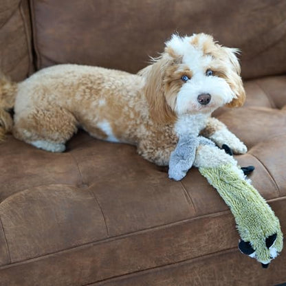 SPOT Skinneeez Raccoon 23 Inch Stuffing-Free Dog Toy – Soft Plush Tug Toy with Two Squeakers for Medium and Large Dogs – Mess-Free Interactive Chew Toy - style: Raccoon