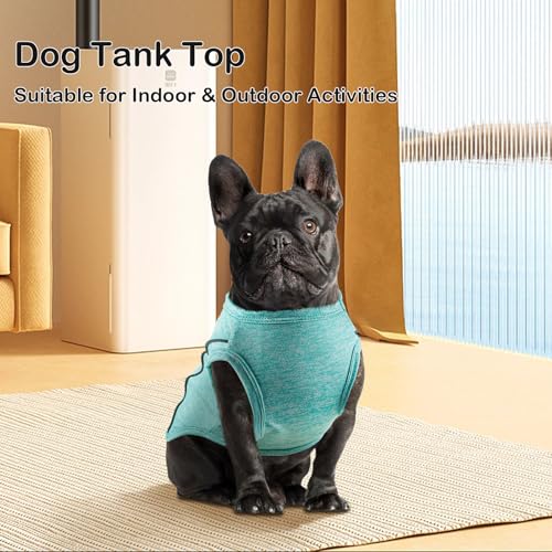 2 Pack Quick-Dry Dog Summer T-Shirt With Reflective Strips - Breathable Cooling Tank Top Pet Sun Protection Clothes for Dogs Cats Grey & Blue XXL - color: Grey & Blue, size: XX-Large