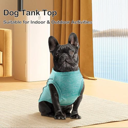 2 Pack Quick-Dry Dog Summer T-Shirt With Reflective Strips - Breathable Cooling Tank Top Pet Sun Protection Clothes for Dogs Cats Grey & Blue XXL - color: Grey & Blue, size: XX-Large