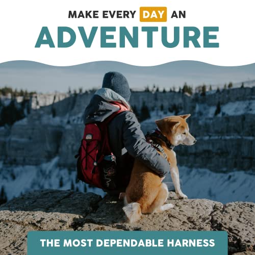 Embark Adventure Small Dog Harness – No-Pull, Reflective Trim, Military-Grade Nylon, Front Clip with Gel-Lined Handle - color: Santa Monica, size: S