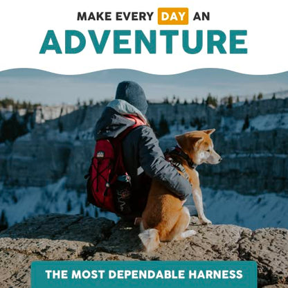 Embark Adventure Small Dog Harness – No-Pull, Reflective Trim, Military-Grade Nylon, Front Clip with Gel-Lined Handle - color: Santa Monica, size: S