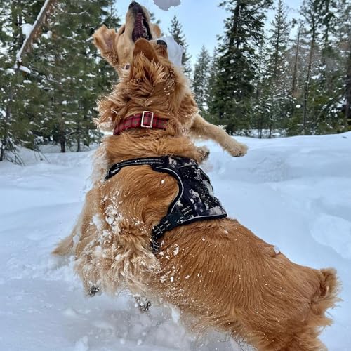 Voyager Dog Harness Dual Leash Attachment No-Pull Control Adjustable Soft but Strong Pet Harness for Medium and Large Dogs with 3M Reflective Technology, Black Nylon, XL (Chest: 28-37") - color: Black Nylon, size: XL (Chest: 28 - 37")