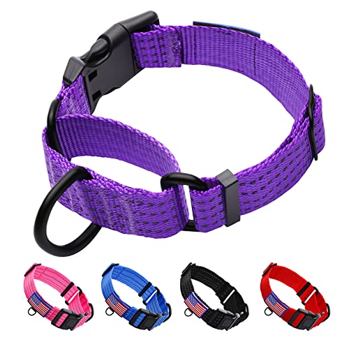 Martingale Collar for Training Dogs. Adjustable Reflective Collars with Buckle-USA Flag- NO Pull-Prevents Slipping Out, for Medium Large XL Dogs. Helps with Strong pullers(L, Purple) - color: Purple, size: L