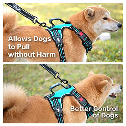 PoyPet No Pull Dog Harness, No Choke Front Clip Reflective Dog Vest with Soft Padded Vertical Handle, 3 Leash Attachments for Small Medium Large Dogs (Mint Blue,L) - color: Mint Blue, size: Large