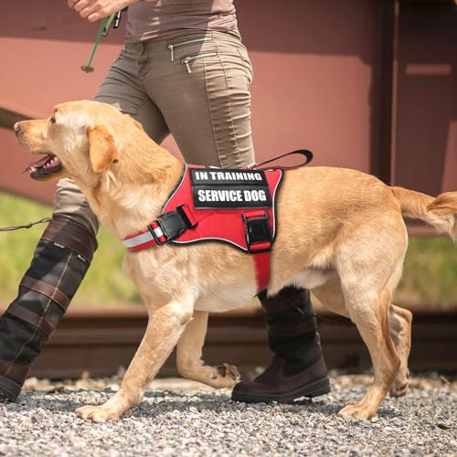 Service Dog Vest Harness and Leash Set+10 Patches,No Pull&Adjustable Reflective Dog Harness with Soft Padded Handle for Training/Everyday,Fit Small/Medium/Large/Extra-Large Dogs (Red S) - color: Red, size: Small
