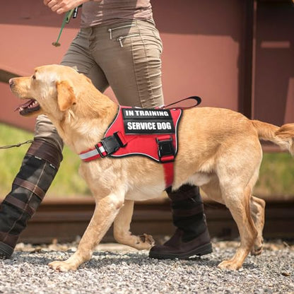 Service Dog Vest Harness and Leash Set+10 Patches,No Pull&Adjustable Reflective Dog Harness with Soft Padded Handle for Training/Everyday,Fit Small/Medium/Large/Extra-Large Dogs (Red S) - color: Red, size: Small