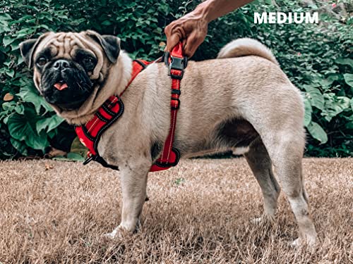 Tuff Pupper No Pull Easy Walk Dog Harness | Heavy Duty Pet Vest | Front & Back Leash Clips | Strong Safety Handle | Reflective Anti Pull Vest | Comfortable Padded Escape Proof Harness (Medium, Red) - color: March Red, size: Medium (Neck: 15-23" , Chest: 1