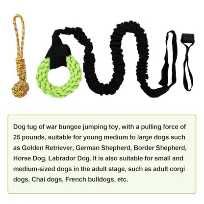 Dog Rope Toys Set with Door Anchor, Interactive Bungee Tug Toy for Indoor and Outdoor Play, Black and Green