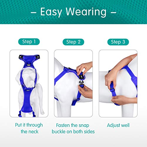 PoyPet Reflective Soft Breathable Mesh Dog Harness Choke-Free Double Padded Vest with Adjustable Neck and Chest(Royal Blue,XS) - color: Royal Blue, size: XS