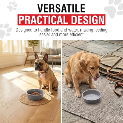Loving Pets Dolce Luminoso Dog Bowl, Small, Silver - color: Silver, size: Small