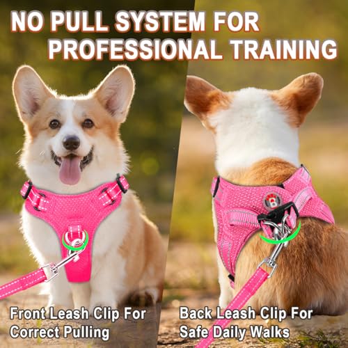 Dog Harness Step in Dog Vest Harness, Reflective Adjustable Puppy No Pull Harness Breathable Soft for Small and Medium Dogs Cats, Pink, XXS - color: Pink, size: XX-Small