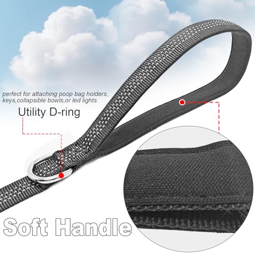 Bungee Dog Leash- 5FT Shock Absorbing & Reflective Nylon Leash| Anti-Pull Training for Small/Medium Dogs | 2cm Wide, 6 Colors (Black) - color: Black