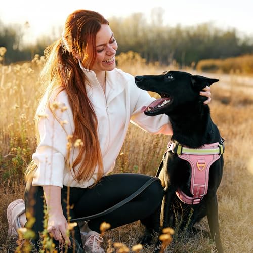 Lumi One LED Dog Harness for Night Visibility and Safety, Patent Pending – Light-Up Dog Vest, Reflective, Adjustable, Rechargeable, Durable, High-Visibility Pet Gear (Pink, Medium) - color: Pink, size: Medium