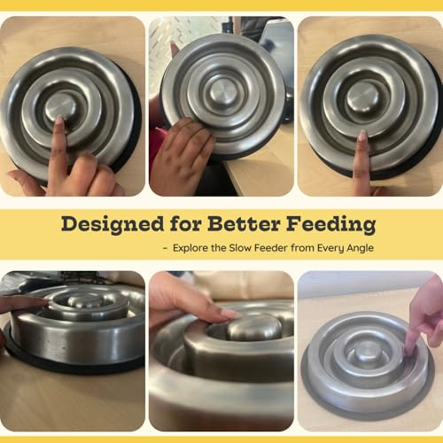 1.2 Cup (9.5 oz) Slow Feeder Dog Bowls, Shallow Spiral Style Stainless Steel Small Dog, Cat Dry, Wet Food Dishes Fast Eater Nonslip Heavy Feeding Puzzle Bowl, Slow Down Eating