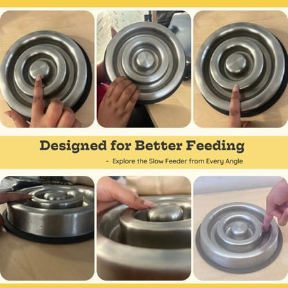 1.2 Cup (9.5 oz) Slow Feeder Dog Bowls, Shallow Spiral Style Stainless Steel Small Dog, Cat Dry, Wet Food Dishes Fast Eater Nonslip Heavy Feeding Puzzle Bowl, Slow Down Eating