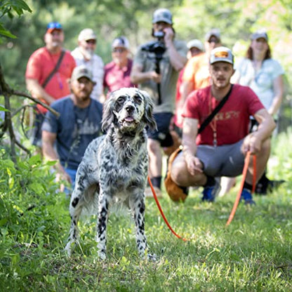 RigidBuilt Tracking Leash & Long Check Cord | 30 Feet | Waterproof Standard Dog Leash | Heavy Duty & Easy to Clean Hunting Dog Accessories - size: Large (Over 40 lbs)