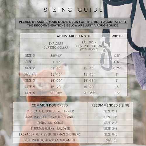 Made to ROAM Premium Dog Collar - Adjustable Heavy Duty Nylon Collar with Quick-Release Metal Buckle (Alaska Daybreak, Classic Size 4) - color: Alaska Daybreak, size: Classic 4