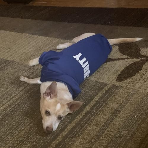 BINGPET Security Dog Hoodies Puppy Sweater Cold Weather Dog Coats Soft Brushed Fleece Pet Clothes Hooded Sweatshirt for Dog Cat - color: #1 Royal Blue(Security), size: Small (All Breed Sizes)
